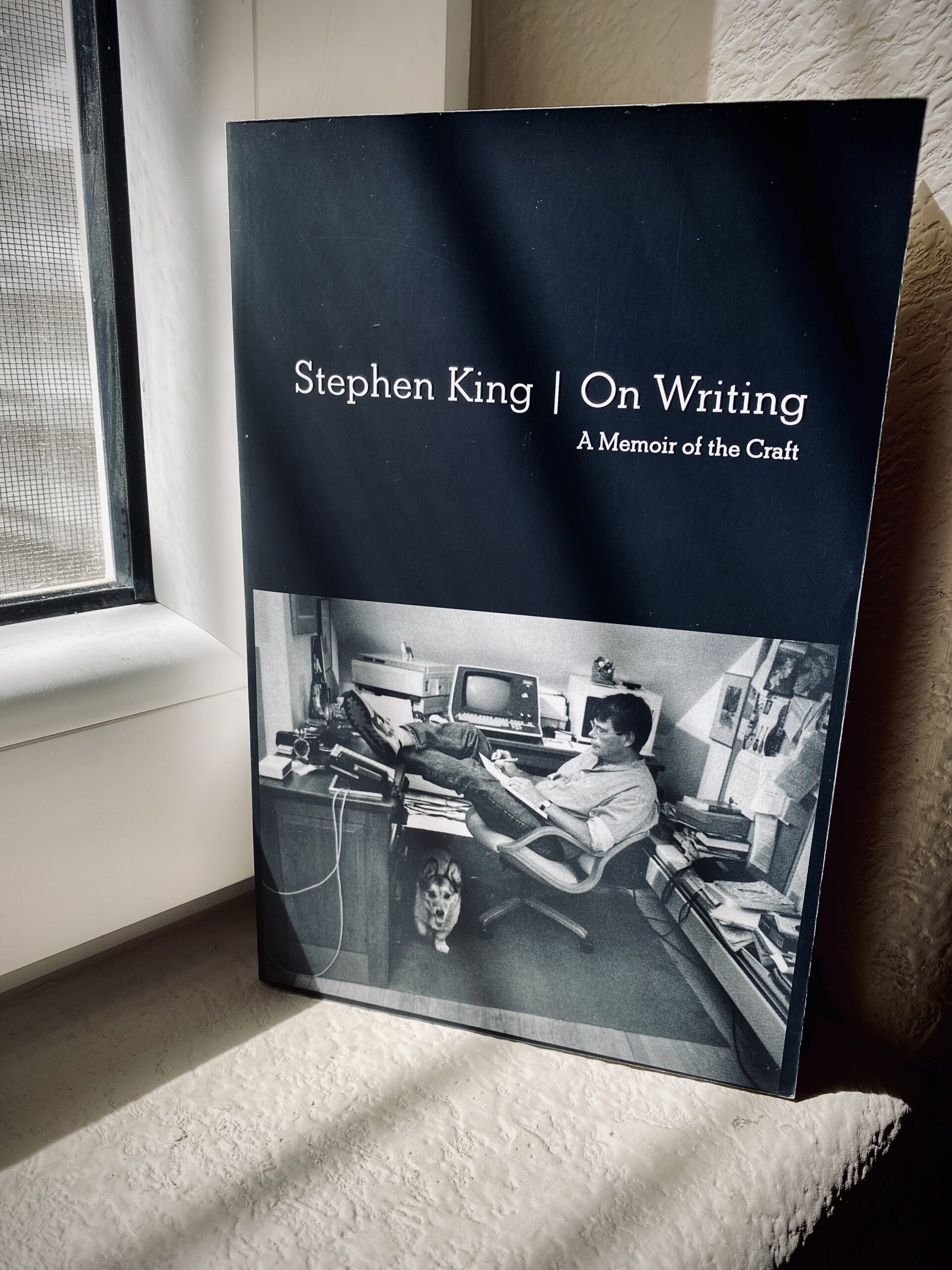 writing, writing tips, writing technique, stephen king, writing well, best books on writing