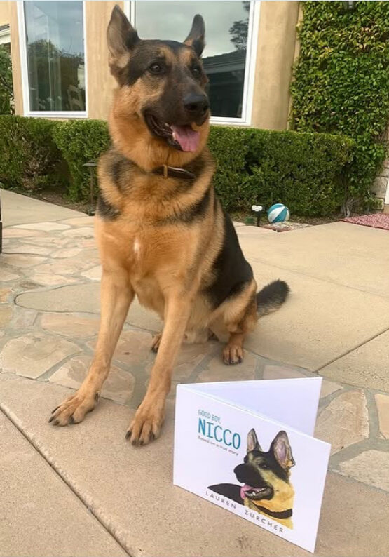 Nicco w:book